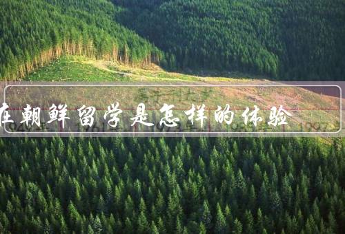 在朝鲜留学是怎样的体验，学习环境、文化交流、生活体验