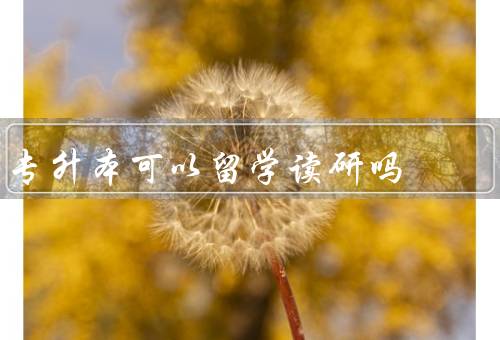 专升本可以留学读研吗（专升本对留学读研的影响／留学读研的优势）