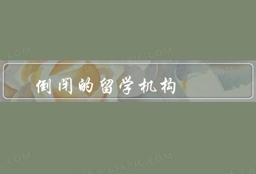 倒闭的留学机构（招生困难／管理不善／违规经营）