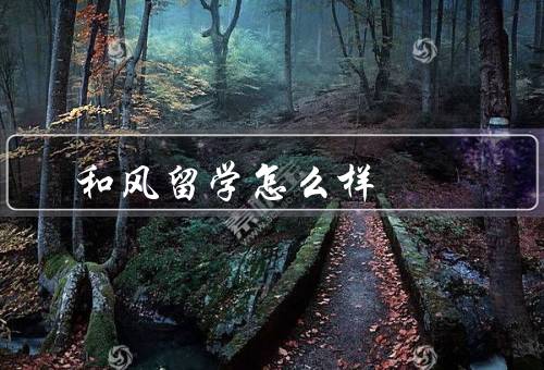 和风留学怎么样（服务质量、资源优势、口碑和成绩）