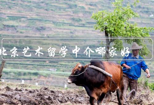 北京艺术留学中介哪家好，留学中介、之窗留学中介、之路留学中介