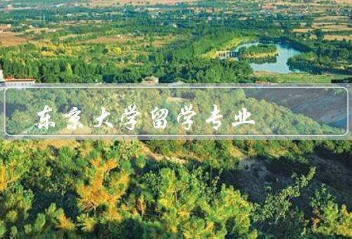 东京大学留学专业（留学生规模／课程设置／研究机会）