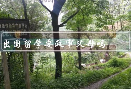 出国留学要政审父母吗（定义／为什么要进行／具体内容）