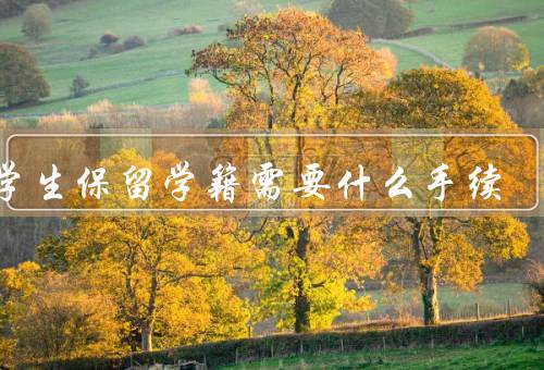 大学生保留学籍需要什么手续，填写保留学籍申请表／递交申请材料