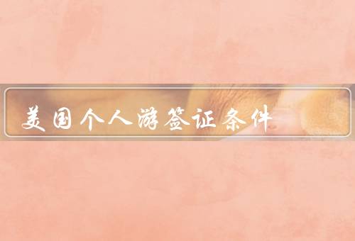 美国个人游签证条件，必须具备以下条件／填写完整的申请表格