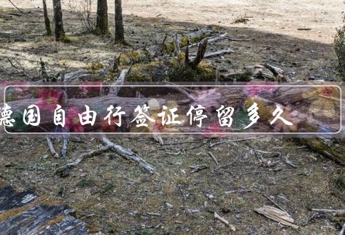 德国自由行签证停留多久，签证有效期、停留期限、延长停留期限