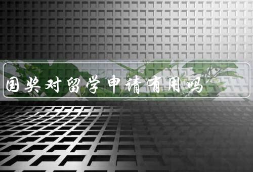 国奖对留学申请有用吗（背景、对留学申请影响、局限性）