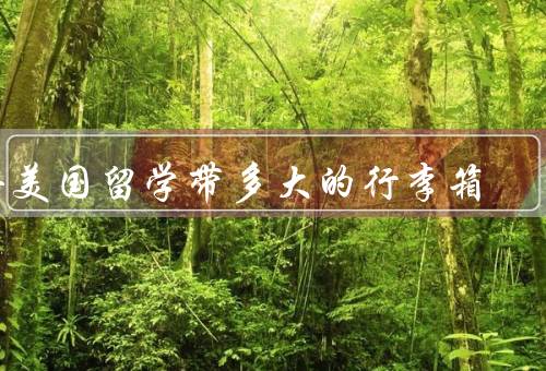 去美国留学带多大的行李箱（行李限制／个人需求／购买当地用品）