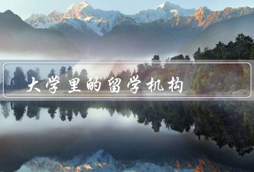 大学里的留学机构（重要性、优势、未来发展）