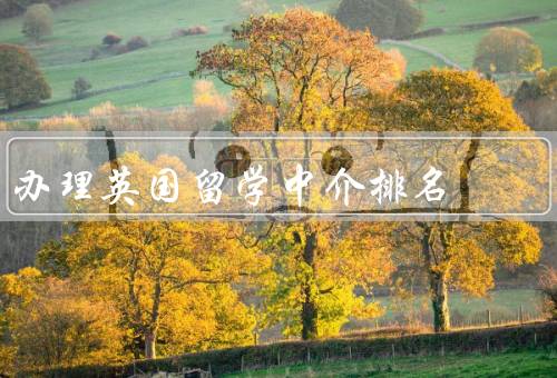 办理英国留学中介排名，留学中介的重要性／英国留学中介排名的来源