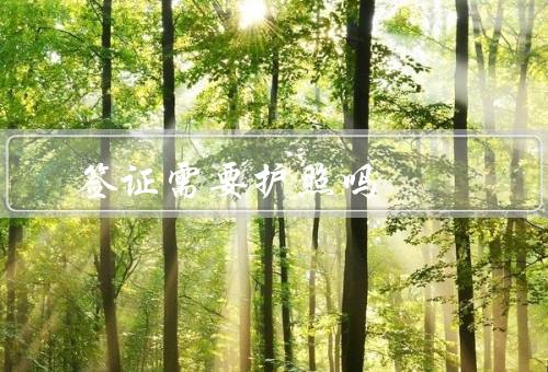 澳门签证需要护照吗，澳门签证／护照要求／其他注意事项