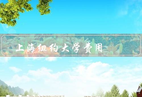 上海纽约大学费用