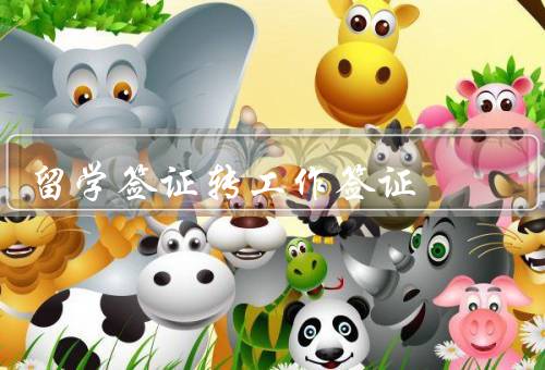 留学签证转工作签证（条件／流程／注意事项）