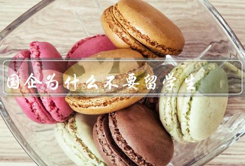 国企为什么不要留学生