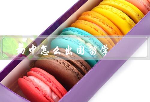 初中怎么出国留学