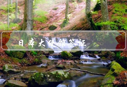 日本大使馆签证