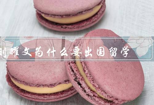 刘耀文为什么要出国留学，就业竞争压力／学术追求／拓展国际视野