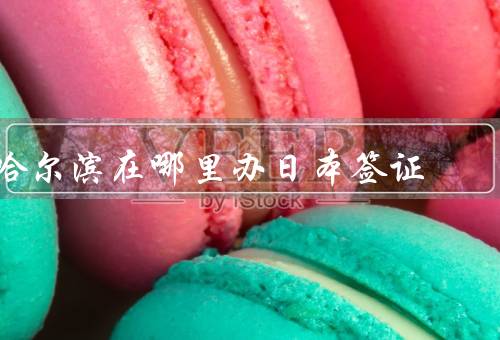 哈尔滨在哪里办日本签证