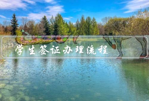 学生签证办理流程