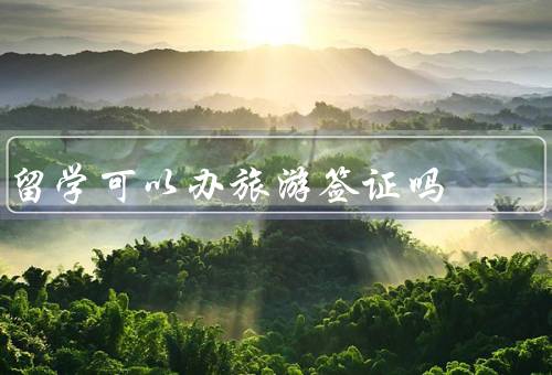留学可以办旅游签证吗，旅游签证概述
