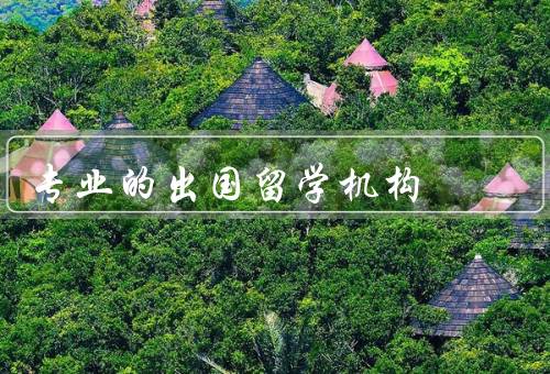专业的出国留学机构