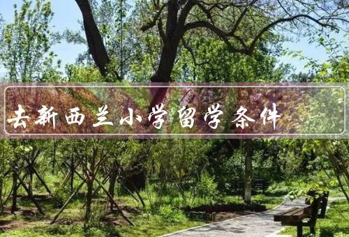 去新西兰小学留学条件（申请条件／签证申请／学费和生活费）